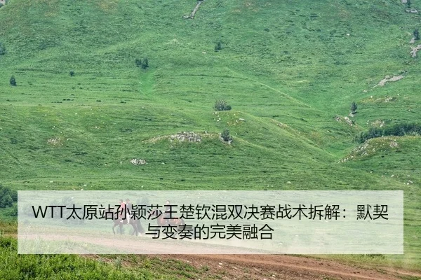 WTT太原站孙颖莎王楚钦混双决赛战术拆解：默契与变奏的完美融合