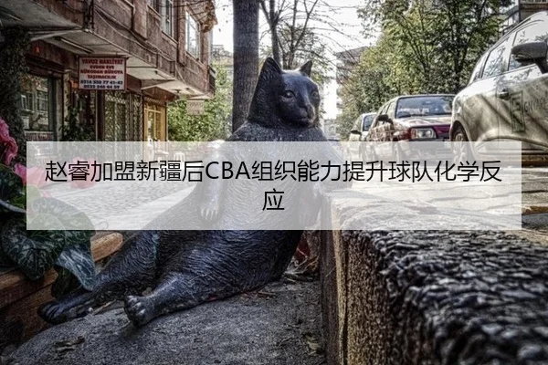 赵睿加盟新疆后CBA组织能力提升球队化学反应