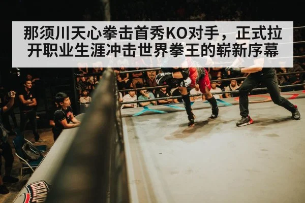 boxing arena crowd